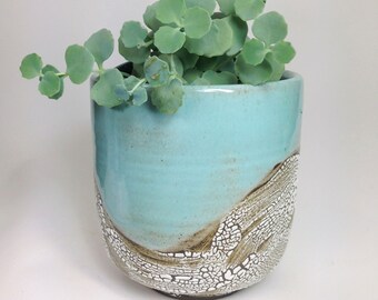 orchid holes pots items
