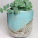 Succulent Planter, Ceramic Flower Pot, Pottery Planter, Green Cactus Pot, Stoneware Planter, Rustic Pots, Has Drainage Holes, MADE TO ORDER