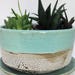 Succulent Planter, Ceramic Flower Pot, Pottery Planter, Green Cactus Pot, Stoneware Planter, Wide Planter, Drainage Holes, MADE TO ORDER
