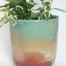 Tall Succulent Planter, Ceramic Flower Pot, Pottery Planter, Cactus Pot, Stoneware Planter, Rustic Pot, Has Drainage Holes, MADE TO ORDER
