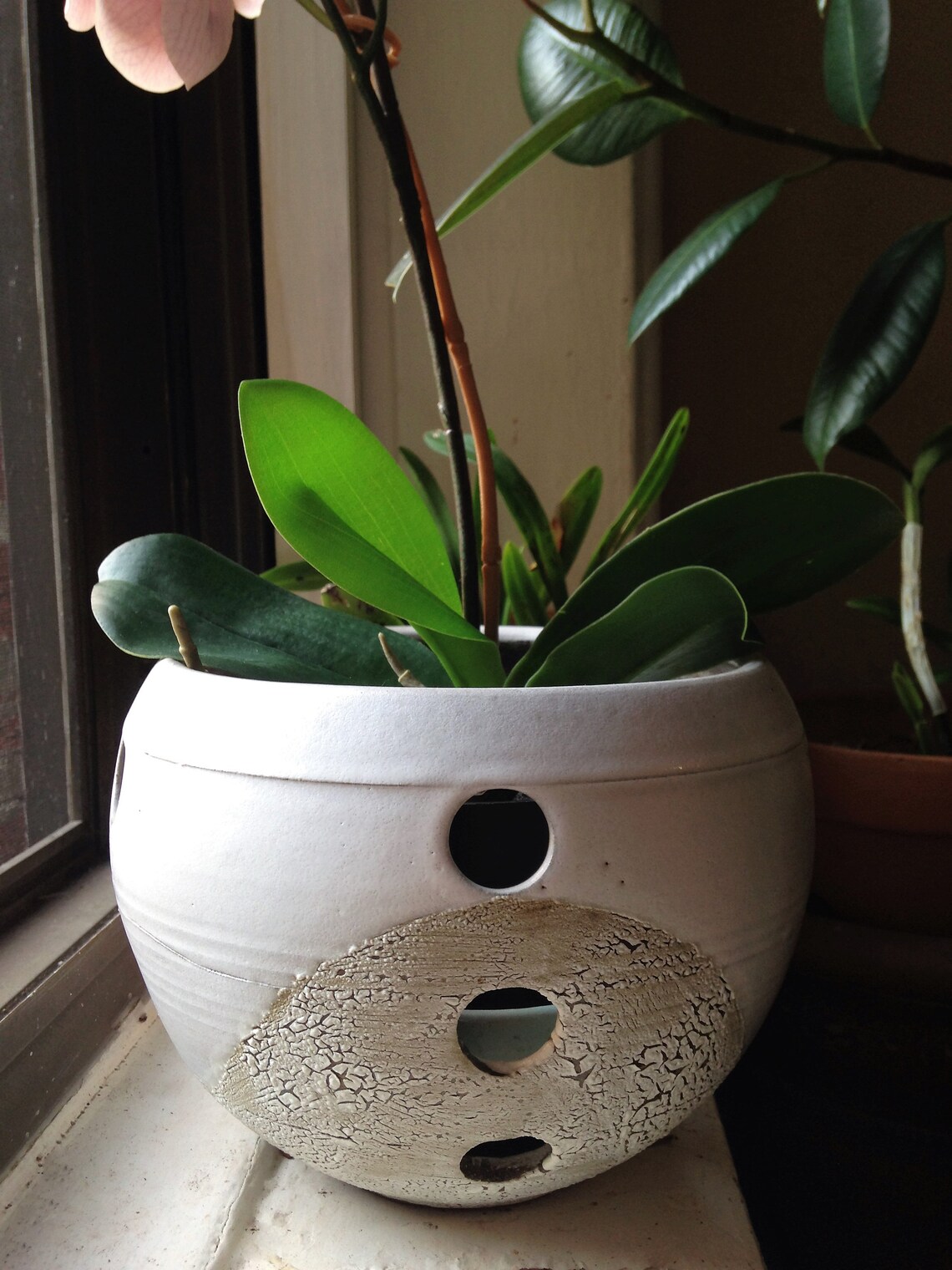 Orchid Planter White Orchid Pot Large Holes for Roots Etsy