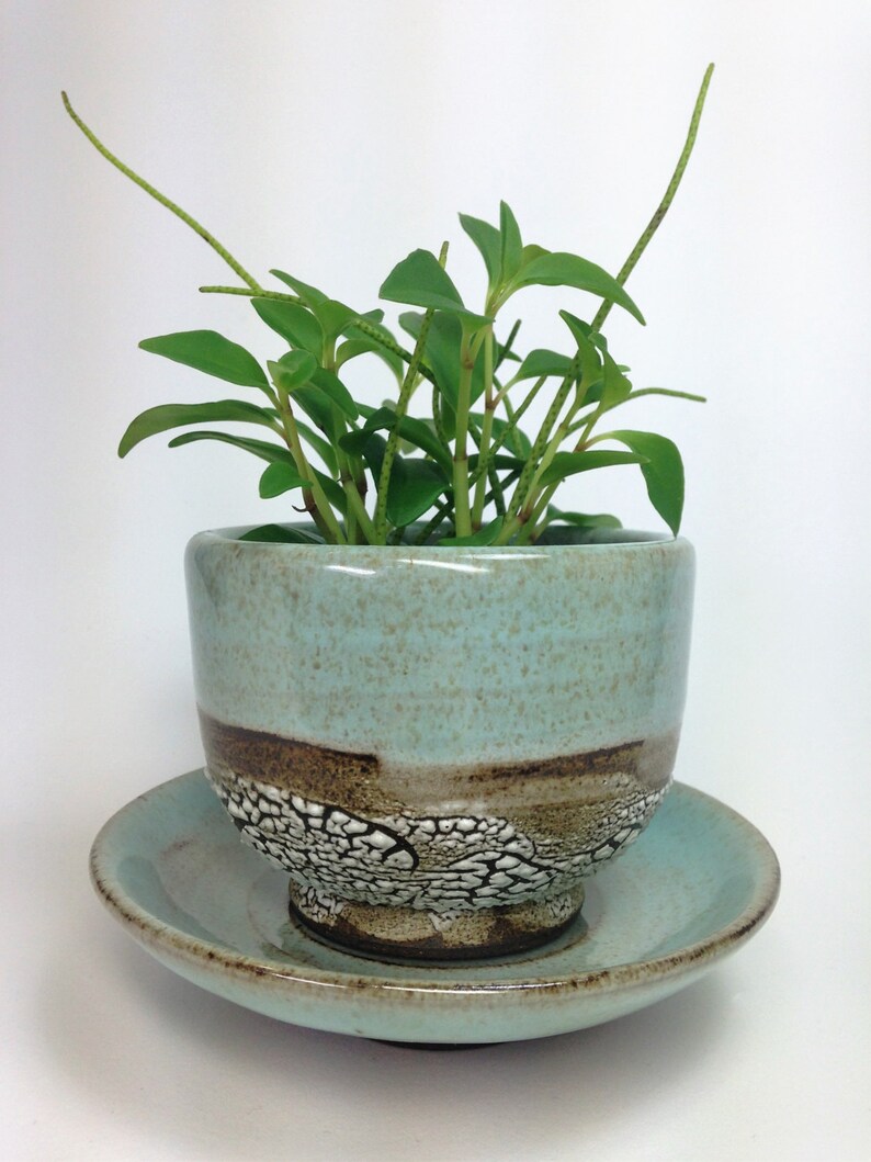 Stoneware Planter Pottery Planter Green Cactus Pot Drainage Hole MADE TO ORDER Succulent Planter Ceramic Flower Pot Air Plant Planter