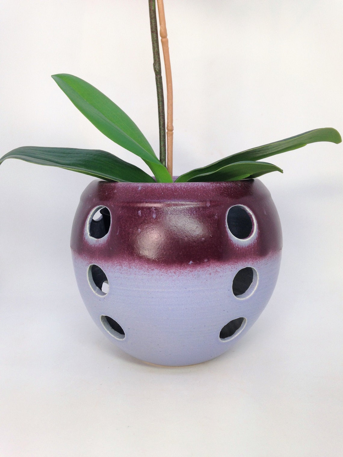 Orchid Planter Orchid Pot Large Holes for Roots Orchid Etsy