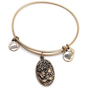 Alex and Ani Sister Bracelet (G20) 1842
