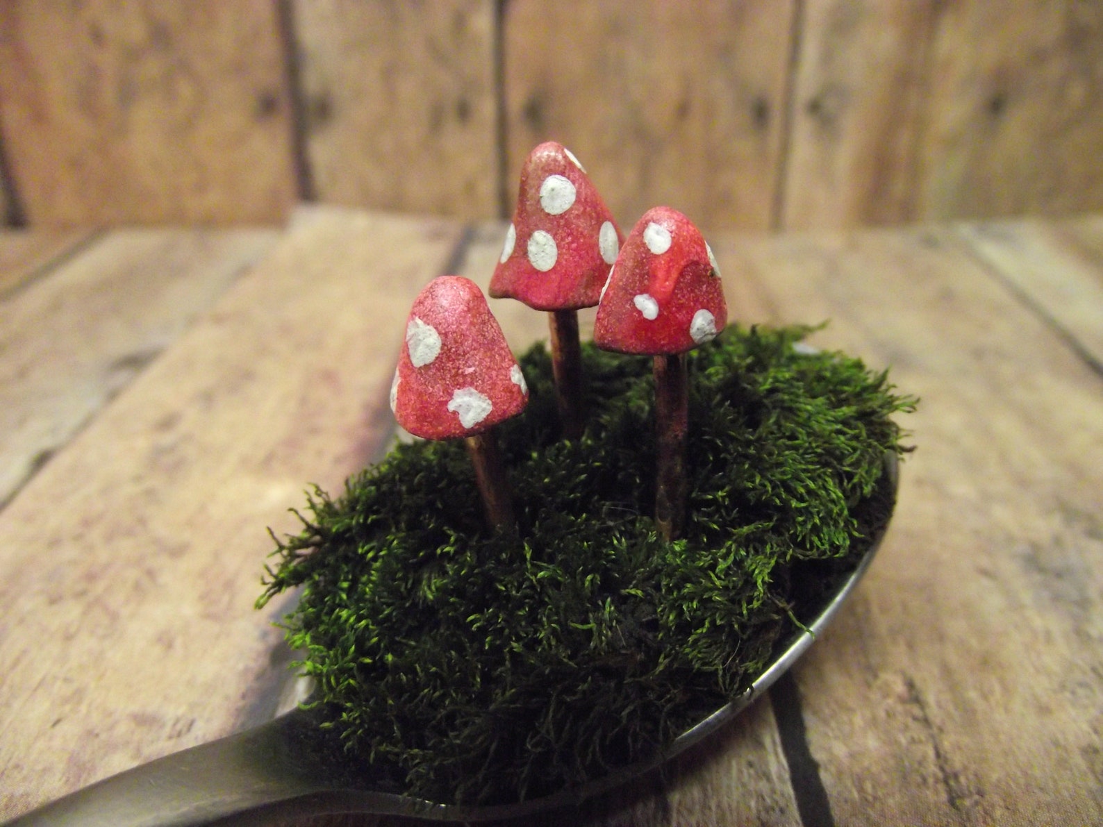 Miniature Terrarium Mushrooms Clay Mushrooms Glow in the Etsy