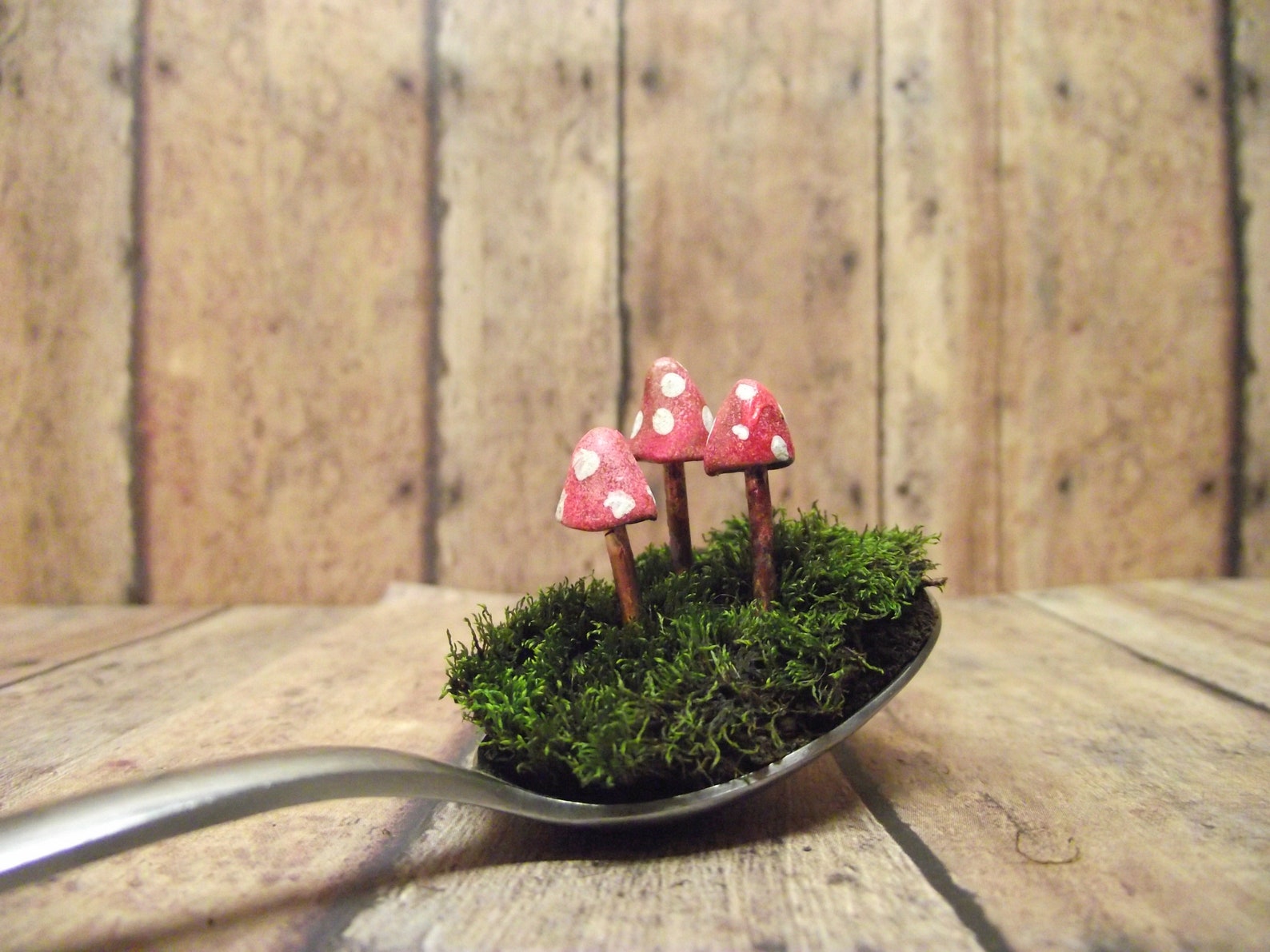 Miniature Terrarium Mushrooms Clay Mushrooms Glow in the Etsy