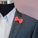 see more listings in the Bow Tie Lapel Pins section