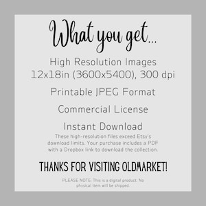 May include: A digital product information graphic with black text on a light gray background. It lists: What you get, High Resolution Images 12x18in (3600x5400), 300 dpi, Printable JPEG Format, Commercial License, Instant Download, and THANKS FOR VISITING OLDMARKET!