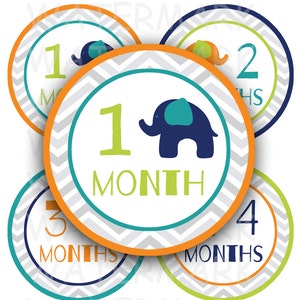 Elefante bebé niño imágenes de hitos mensuales - imprimible - hoja de collage digital - círculos redondos de 4 pulgadas - DESCARGA INSTANTÁNEA