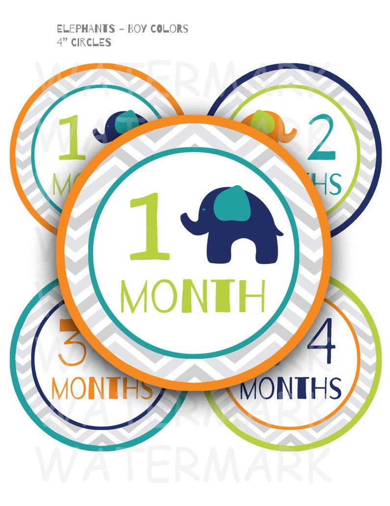 Elephant Baby Boy Monthly Milestone Images Printable - Etsy