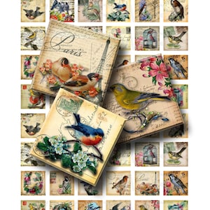 Vintage Birds - Digital Collage Sheet - 1 Inch (1 X 1) - INSTANT ...