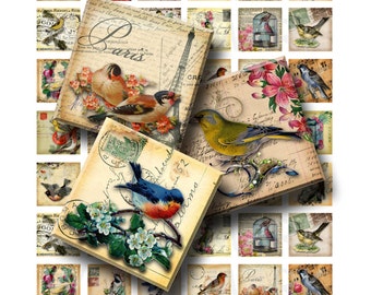 Vintage Birds - Digital Collage Sheet  - 1 inch (1 x 1)  - INSTANT DOWNLOAD