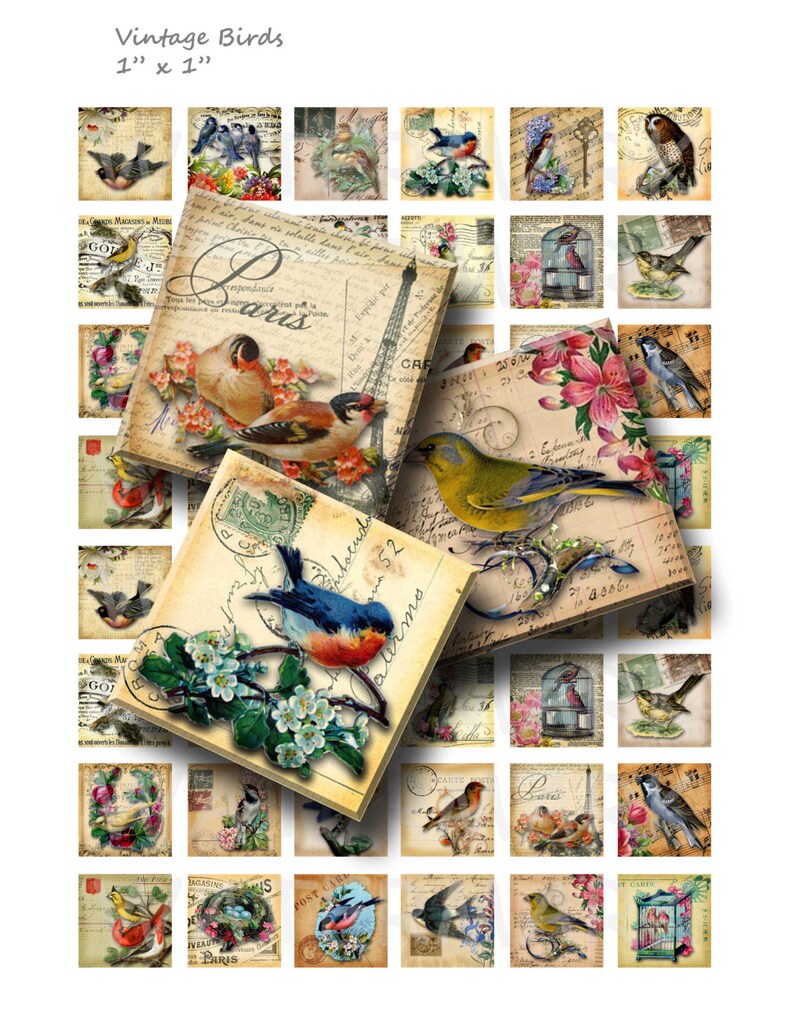 Vintage Birds - Digital Collage Sheet - 1 Inch (1 X 1) - INSTANT ...