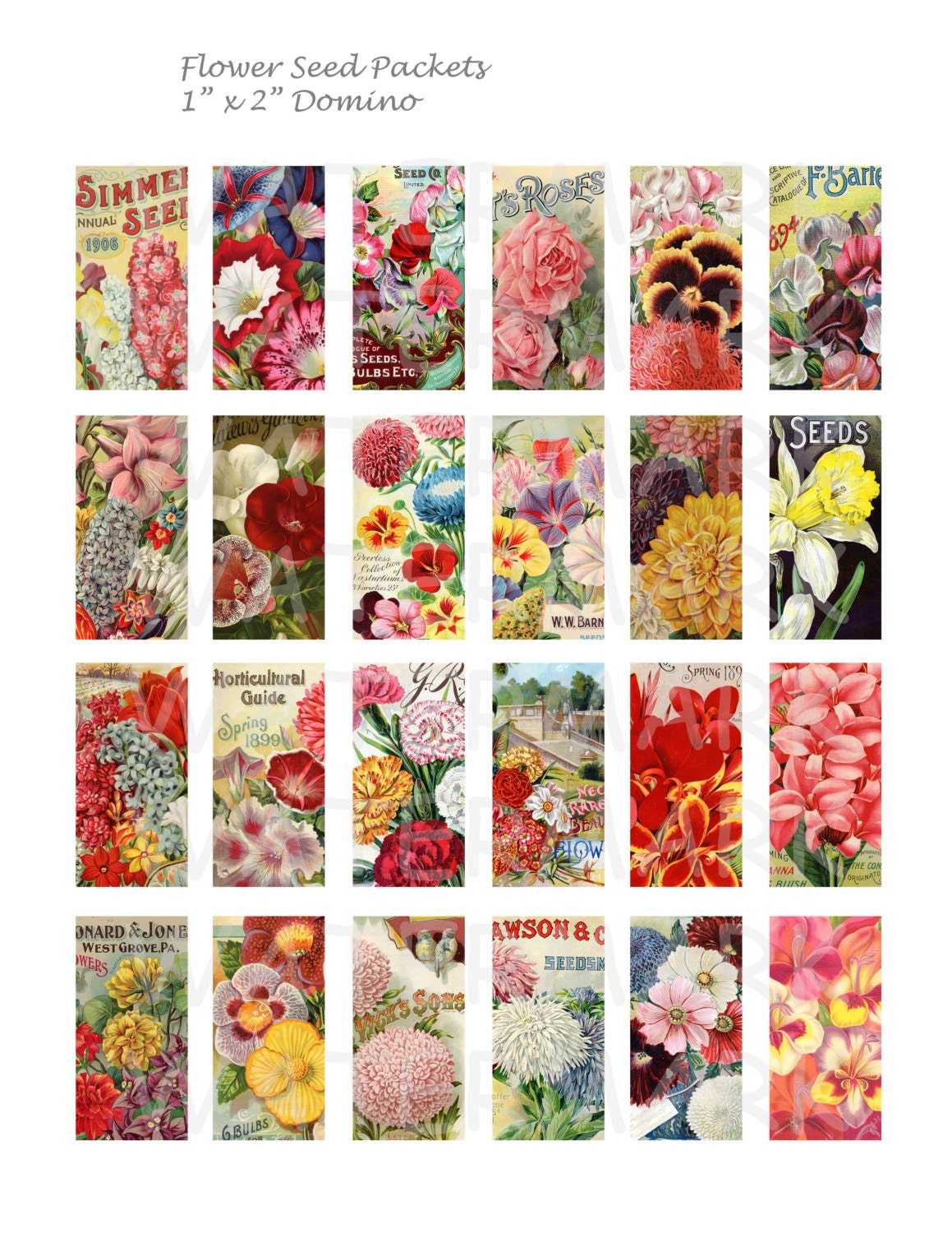 Flower Seed Packets - Digital Collage Sheet - 1 X 2 Inch Domino ...