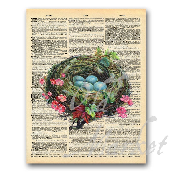Bird Nest on Vintage Dictionary Page - Vintage Bird Nest Art Print - Printable Digital Download - INSTANT DOWNLOAD