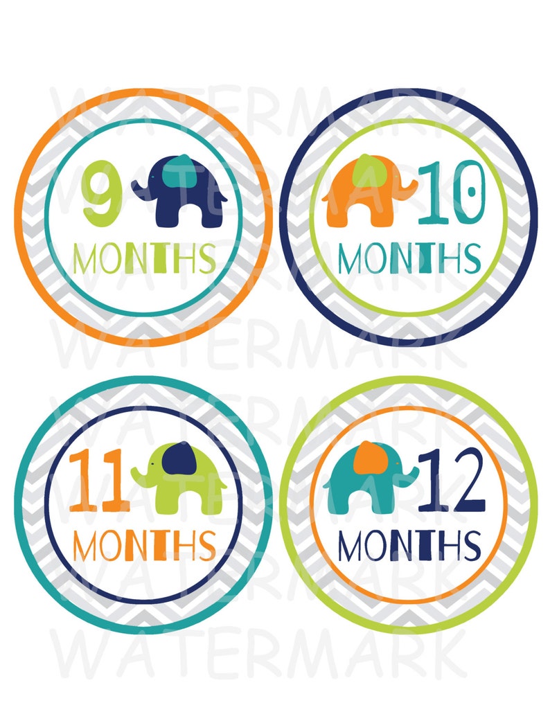 Elephant Baby Boy Monthly Milestone Images Printable - Etsy