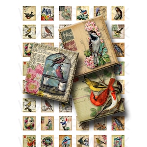 May include: A digital collage sheet featuring vintage images of birds. The sheet includes images of birds in cages, birds on branches, and birds in flight. The images are in a variety of colours, including red, blue, yellow, and green. The sheet is ideal for scrapbooking, card making, and other craft projects.