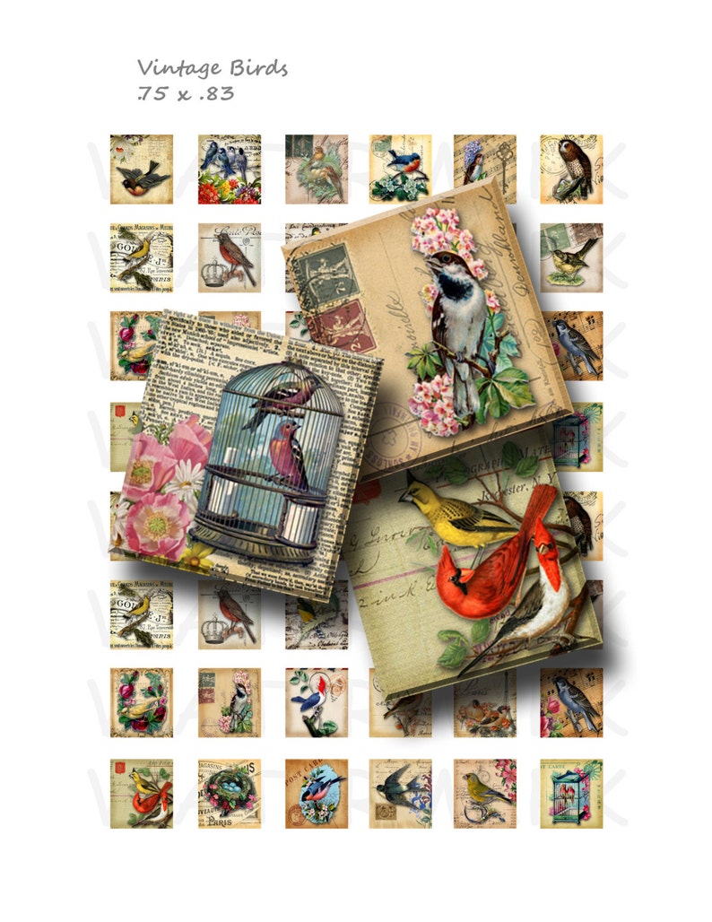 Vintage Birds - Digital Collage Sheet - .75 X .83 Scrabble Size ...