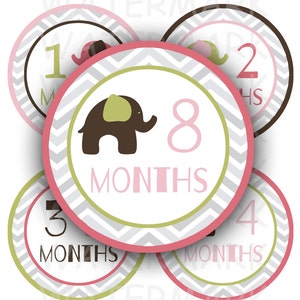 Elefanten Baby Mädchen monatlichen Meilenstein Bilder - Printable - digitale Collage Blatt - 4-Zoll-Runde Kreise - INSTANT DOWNLOAD