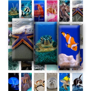 Ocean Animals - Digital Collage Sheet - 1 x 2 inch Domino - INSTANT DOWNLOAD