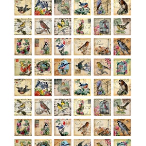 Vintage Birds - Digital Collage Sheet - 1 Inch (1 X 1) - INSTANT ...