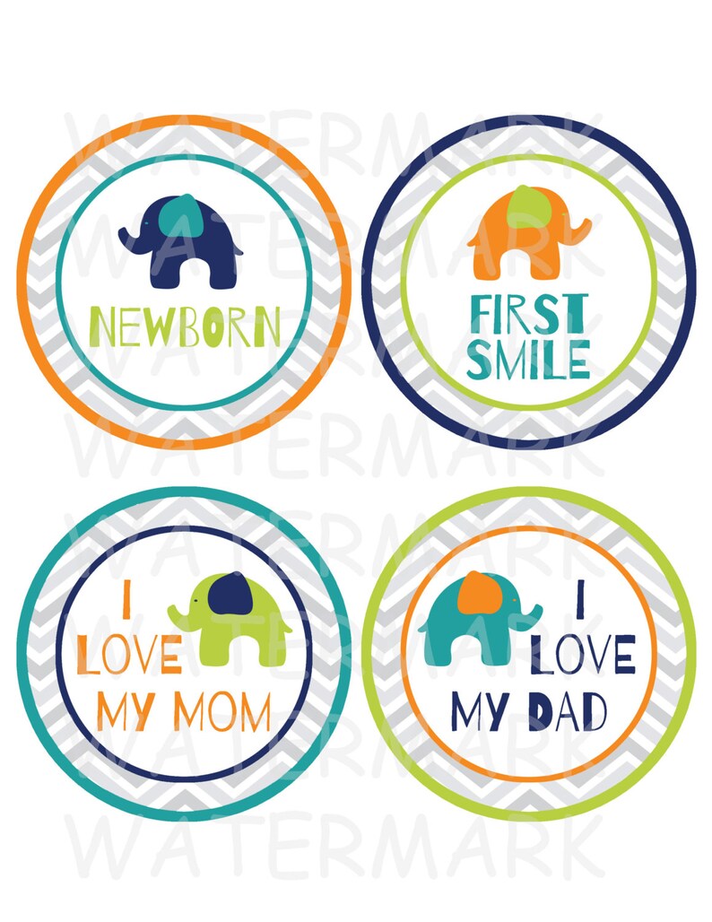 Elephant Baby Boy Monthly Milestone Images Printable - Etsy