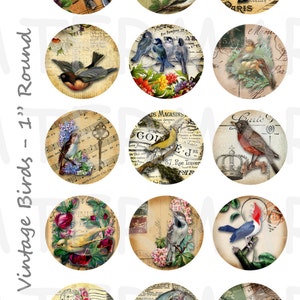 Vintage Vögel - 4 x 6 Digital Collage Sheet - 1 Zoll runde Kreise - INSTANT DOWNLOAD