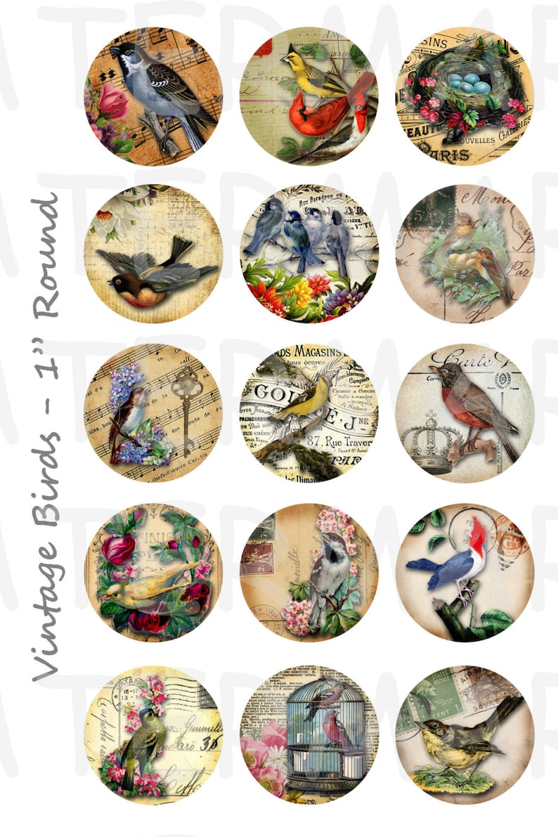 Vintage Birds - 4 X 6 Digital Collage Sheet - 1 Inch Round Circles ...