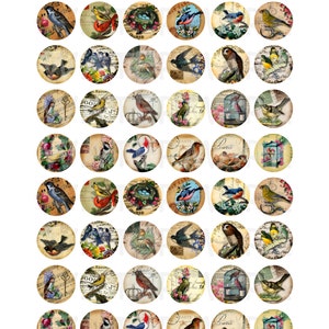 Vintage Birds - Digital Collage Sheet - 1 Inch Round Circles - INSTANT ...