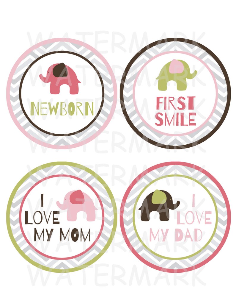 Elephant Baby Girl Monthly Milestone Images Printable | Etsy