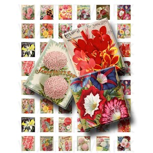 Paquetes de semillas de flores - Hoja de collage digital - Tamaño Scrabble 0,75 x 0,83 - DESCARGA INMEDIATA