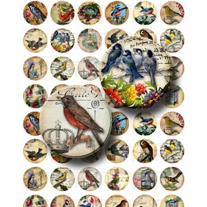 Vintage Birds - Folha de colagem digital - Círculos redondos de 1 polegada - DOWNLOAD INSTANTÂNEO