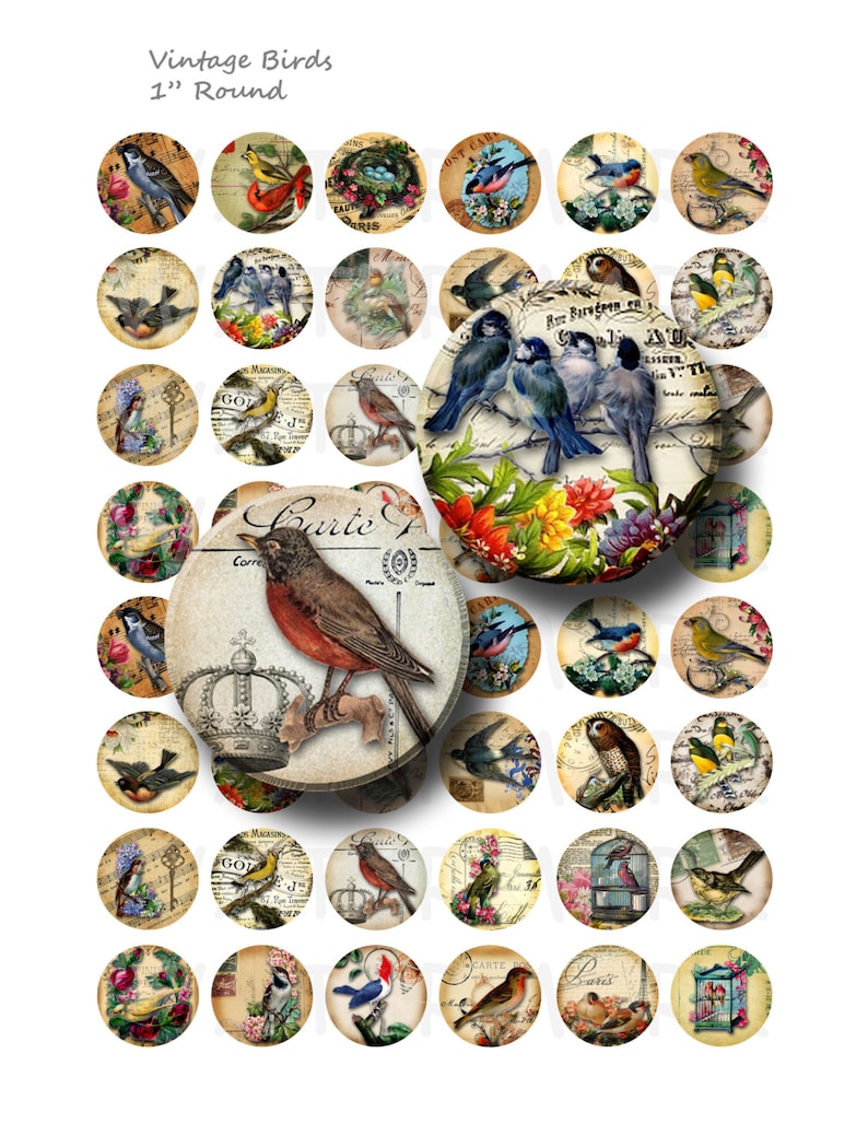 Vintage Birds - Digital Collage Sheet - 1 Inch Round Circles - INSTANT ...