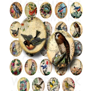Vintage Birds - Digital Collage Sheet - 30x40mm Ovals - INSTANT ...
