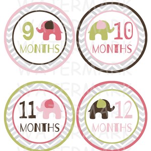 Elephant Baby Girl Monthly Milestone Images - Printable - Digital ...
