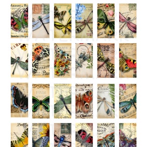 Butterflies and Dragonflies - Digital Collage Sheet - 1 X 2 Inch Domino ...
