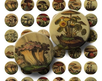 Vintage Mushrooms - Digital Collage Sheet  - 1 inch Round Circles - INSTANT DOWNLOAD