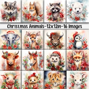 Papel digital de animais bebês de Natal - Fundos fofos de animais bebês - Papel digital de Natal - 16 designs - 12 pol x 12 pol - Uso comercial