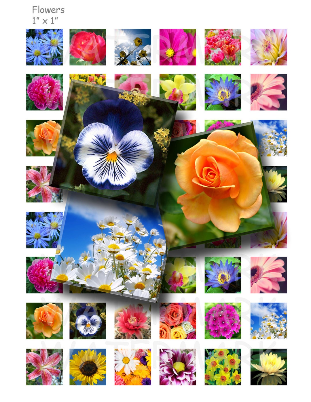 Flowers - Digital Collage Sheet - 1 Inch (1 X 1) - INSTANT DOWNLOAD - Etsy
