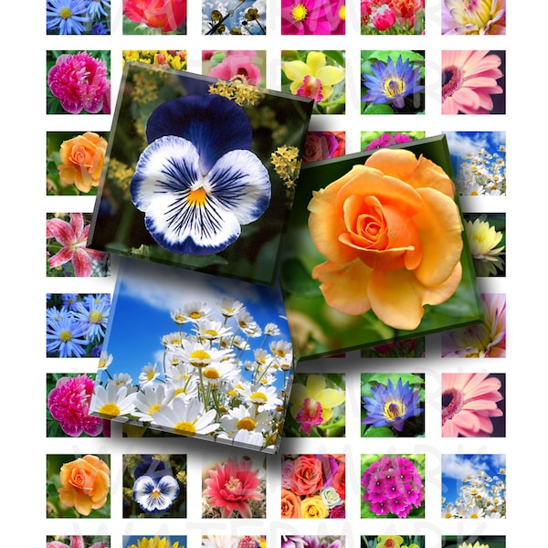 Flowers - Digital Collage Sheet  - 1 inch (1 x 1)  - INSTANT DOWNLOAD