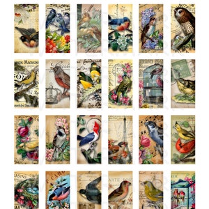 Vintage Birds - Digital Collage Sheet - 1 X 2 Inch Domino - INSTANT ...