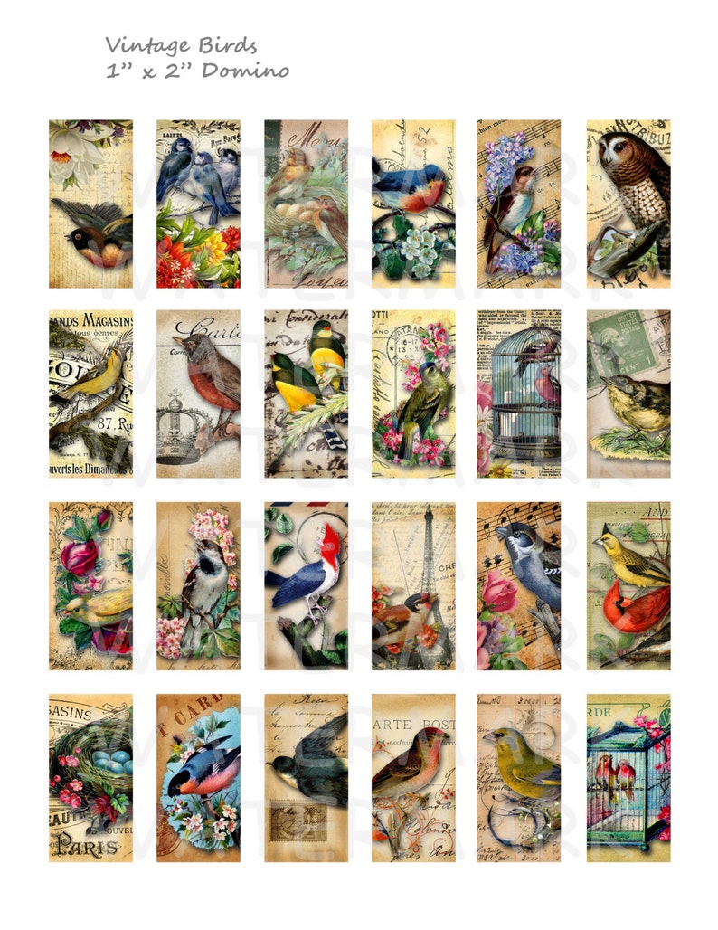 Vintage Birds - Digital Collage Sheet - 1 X 2 Inch Domino - INSTANT ...
