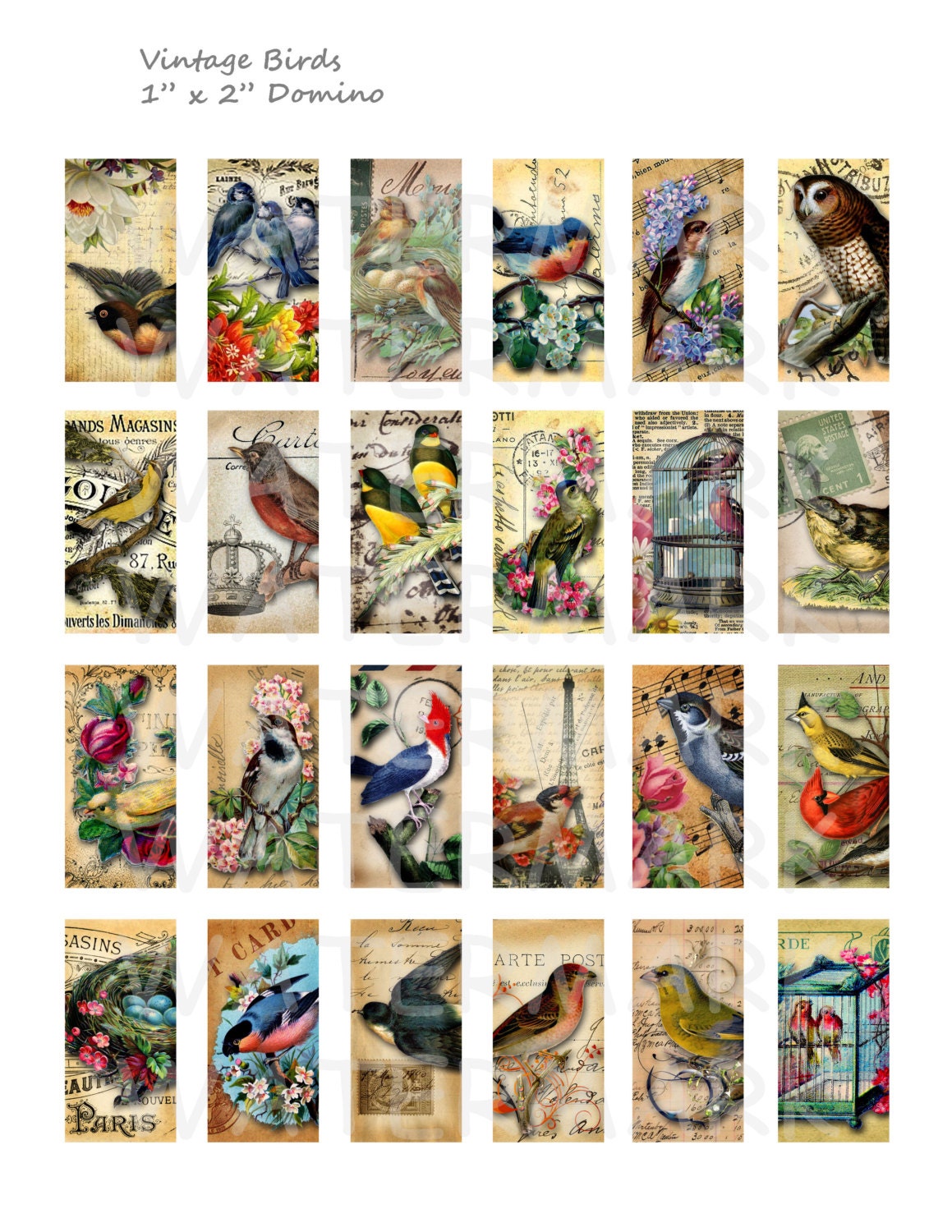 Vintage Birds - Digital Collage Sheet - 1 X 2 Inch Domino - INSTANT ...