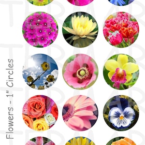 Flowers - 4 x 6 Digital Collage Sheet  - 1 inch Round Circles - INSTANT DOWNLOAD