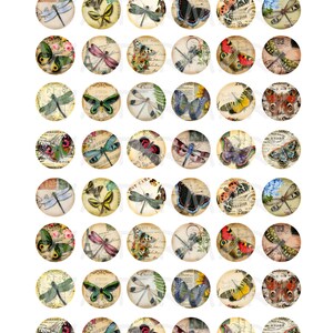Butterflies and Dragonflies - Digital Collage Sheet - 1 Inch Round ...