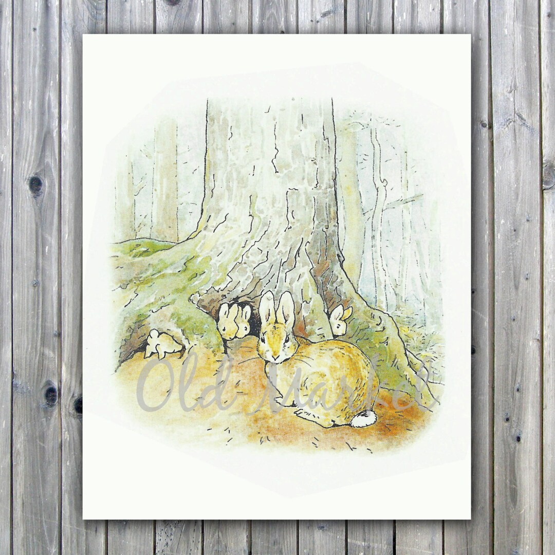 Peter Rabbit 4 - Beatrix Potter Illustration - Printable Digital ...
