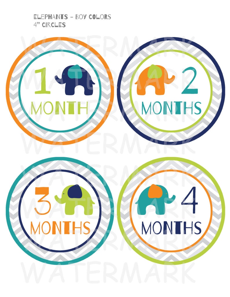 Elephant Baby Boy Monthly Milestone Images Printable - Etsy