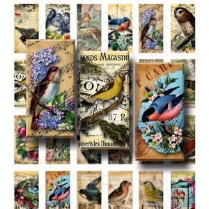 Vintage Birds - Folha de colagem digital - 1 x 2 polegadas Domino - DOWNLOAD INSTANTÂNEO