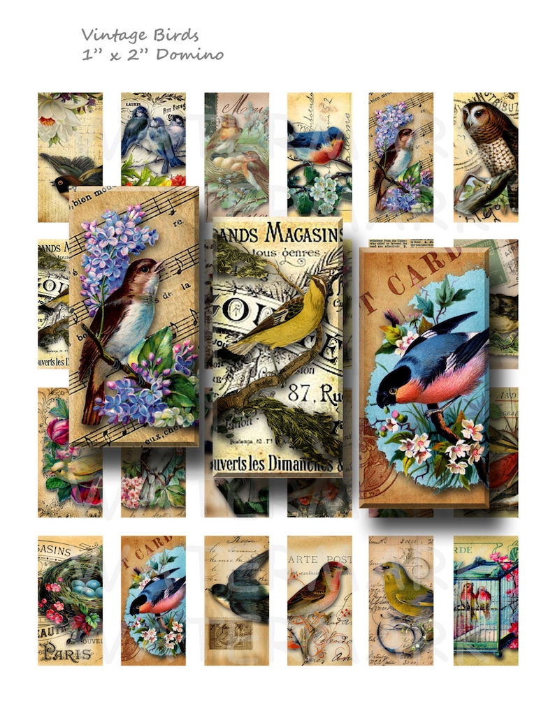 Vintage Birds - Digital Collage Sheet - 1 X 2 Inch Domino - INSTANT ...