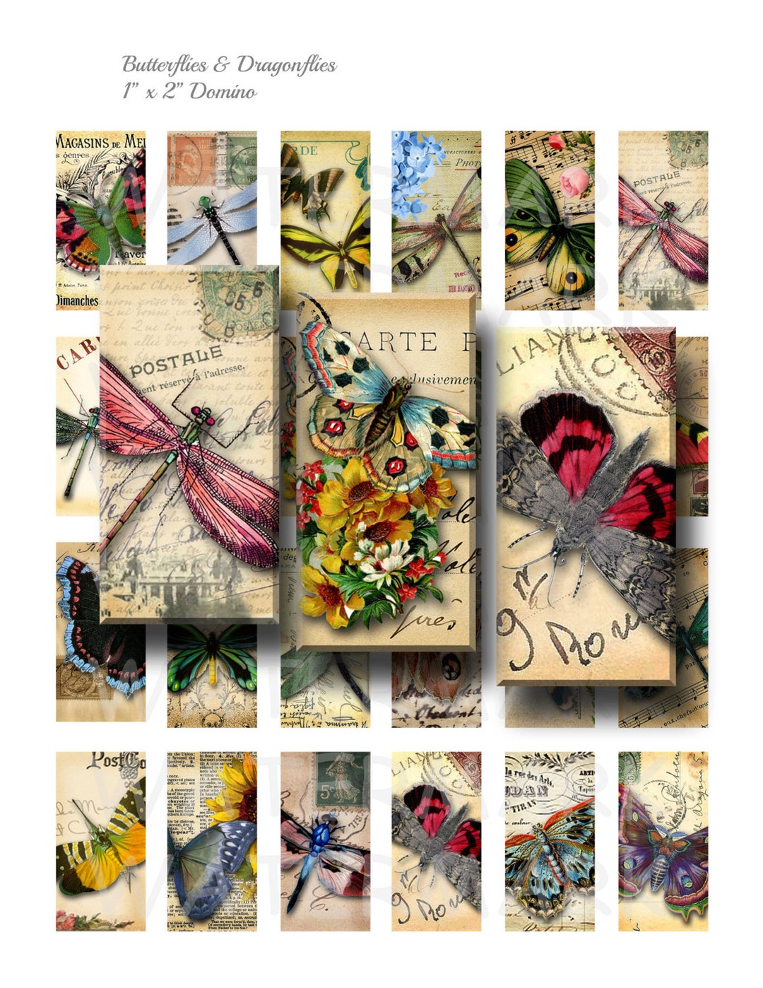 Butterflies and Dragonflies - Digital Collage Sheet - 1 X 2 Inch Domino ...